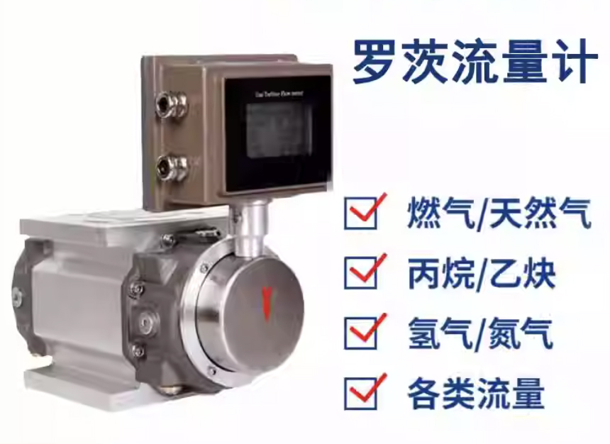 DN65氣體羅茨流量計(jì)